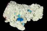 Vibrant Blue Cavansite Clusters on Stilbite - India #168252-2